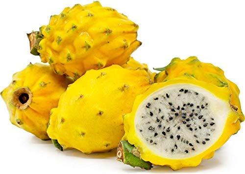 Kejora Fresh Yellow Dragon Fruit Set Of 8 Amazon Com Grocery Gourmet Food