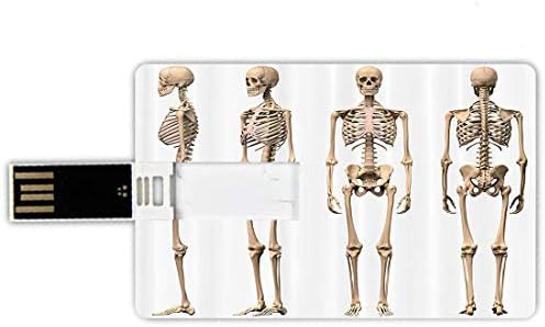 Téléchargement gratuit Images 64go Cle Usb En Forme De Carte De Credit Anatomie Humaine Style De dernière salutations