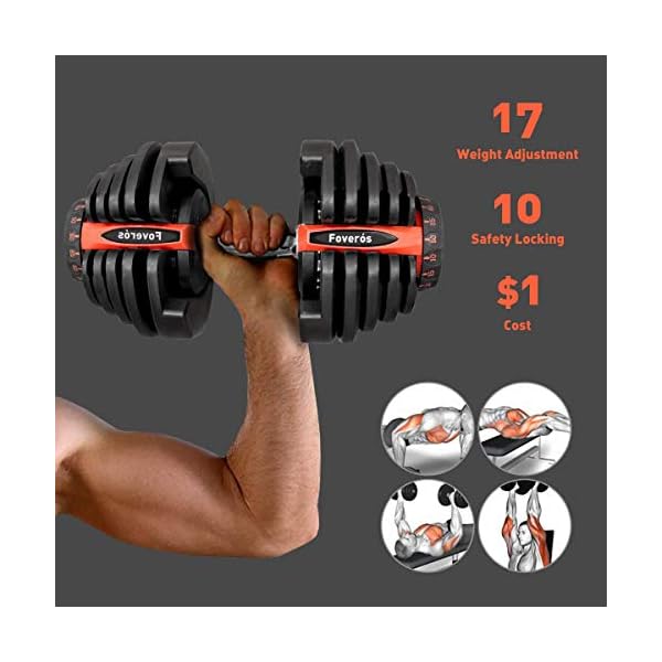 ypc adjustable dumbbells