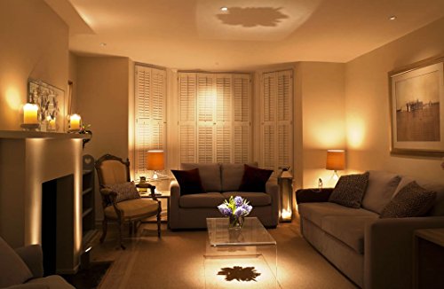 SHINE HAI G40 Clear Glass Globe Bulbs with Candelabra Screw Base, Pack of 25