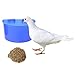 Jim-Hugh Bird Feeding Tool Pigeons Water Bowl Drinking Fountain Feeders Aviculture Supplythumb 3