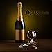 ENROSE Premium Corkscrew Wine Bottle Opener and Foil Cutter Wood Handle Stainless Steel Double-Hinged All-in-one Wine Key Perfect Gift for Wine Lovers