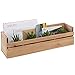 MyGift Handmade Wall Mounted Decorative Wooden Shelf, Storage Box Organizer, Beige