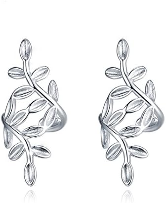 ER-20160C1 2016 Silver Plating Women's Earring