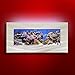 Aussie Aquariums AA-Skyline-BSILVER 2.0 Wall Mounted Aquarium, Brushed Silverthumb 1