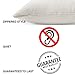 Waterguard Waterproof Pillow Protectors Quilted, Zippered Pillow Cases, 100% Cotton Top, Microfiber Filled Pillow Covers, Queen Size (20x30) Set of 2
