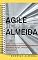 Livro Agile Almeida: Não perca tempo! Pequenas ações, grandes resultados
