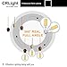 CRLight 8W Edison LED Globe Bulb 80W Equivalent 3000K Soft White 800 Lumens, E26 Base Antique G25 / G80 Clear Glass Globular Dimmable LED Filament Bulbs, Bathroom Vanity Mirror Light, Pack of 3