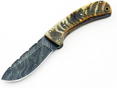 Knives Ranch 8.5" Skinning Knife with Damascus Steel Blade and Ram's Horn Handle