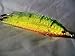 Merrimack River Flies Fire Tiger Herring Streamer Fly