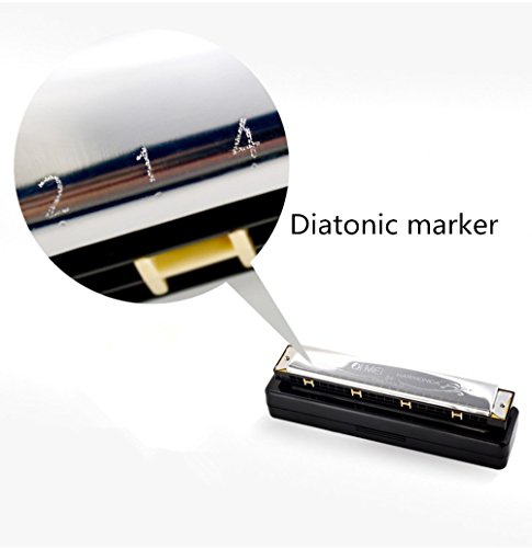 Blues Harmonica, C Key 24 Holes Major Diatonic Double Tremolo, Harmonica Musical Instrument Accessories for Children, Student, Adult Beginner with Case, with Tone Mark (silver)