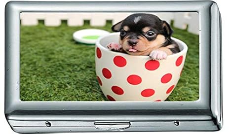 Amazon Com Black And Brown Short Haired Puppy In Cup 393