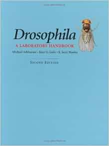 Drosophila: A Laboratory Handbook: 9780879697068: Medicine & Health