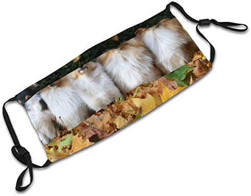 Washable mud face mask priced at $12.99.