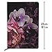 Ted Baker Soft Touch Splendor Black Floral 192 Lined Page A5 Notebook, Black (ATED511)