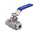 DERNORD Full Port Ball Valve Stainless Steel 304 Heavy Duty for Water, Oil, and Gas with Blue Locking Handles (1/4