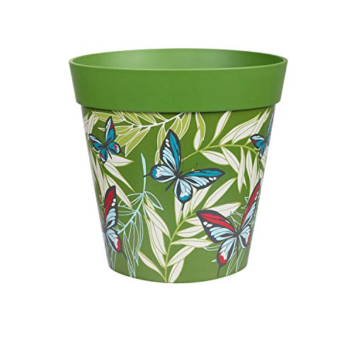 Green Butterfly Palms