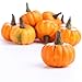 Factory Direct Craft Package of 16 Realistic Fall Mini Artificial Pumpkins for Halloween, Fall and Thanksgiving Decorating
