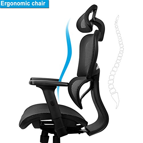 Mysuntown Ergonomic Mesh Office Chair with Back Support, Adjustable Headrest & Adjustable Armrest Lumber Support Desk Executive & Task Chair for Home Office Conference Room