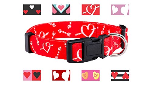 Native Pup Valentine’s Day Heart Dog Collar (Large, Cupid’s Arrows)