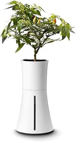 Botanium Unidad de Cultivo Automático de Alimentos Humo Blanco ...