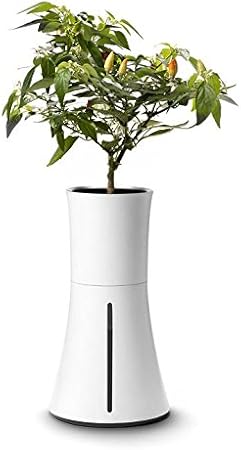 Botanium Unidad de Cultivo Automático de Alimentos Humo Blanco ...