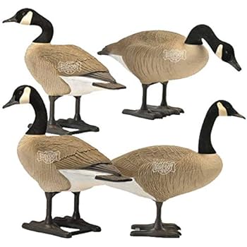 Amazon.com : Big Foot Full Body Goose Decoys - Standards : Hunting