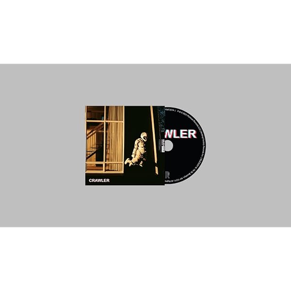 洋楽 IDLES / TANGK [Orange vinyl] Idles - Tangk (autographed orange vinyl) : r/vinyl