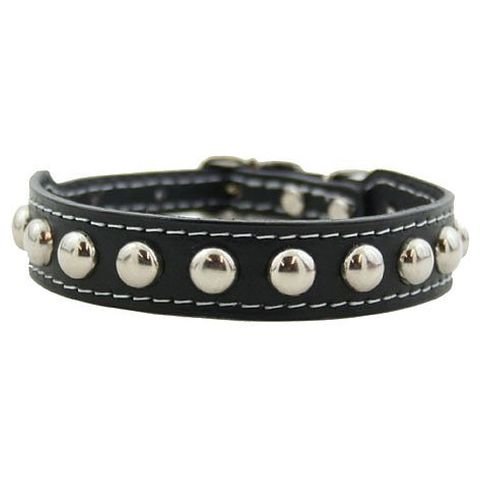 Auburn Leathercraft Silver Studded Collar 3/4" x 16" BLACK