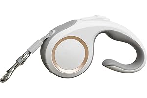 Marchul Retractable Dog Leash-Up to 70lb, 16 ft Dog Walking Leash for Small Medium Dogs, 360° Tangle Free (16ft, Grey)