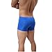 ALT 2017 Men 's Underwear Sexy Temptation Separation Ice Silk Translucent JJ Sets (Large, Blue)