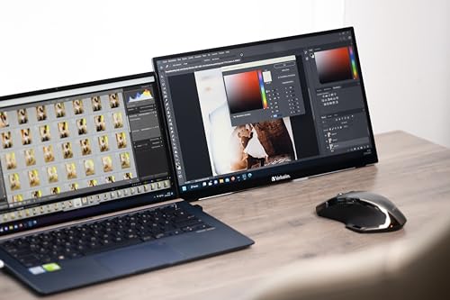 Verbatim PMT-15-4K 4K Ultra HD 15" Touch Screen Monitor