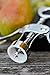 VinousQ Premium Wing Corkscrew, All-in-one Luxury Wine Bottle Opener for Easy Cork Removal, Ready to Wrap Gift Box. Risk Free. Enhance Your Fine Dining Experience Now!