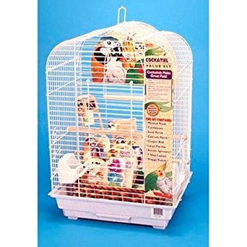 Penn-Plax Cockatiel Bird Cage Starter Kit, 27 Inch Cage Scallop Design with Toy, Cuttlebone, Treat, and Wood Perch
