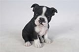 Pet Pals - Boston Terrier Puppy Sitting