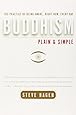 Buddhism Plain and Simple: The Practice of Being Aware, Right Now, Every Day