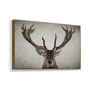Framed for Living Room Bedroom Black and White Animal for