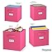 Royexe Fabric Storage Cubes for Cube Storage Organizer - 8 Pack Heavy Duty Storage Bins With Labels - 11 Inch Cube Storage Bin (Pink)