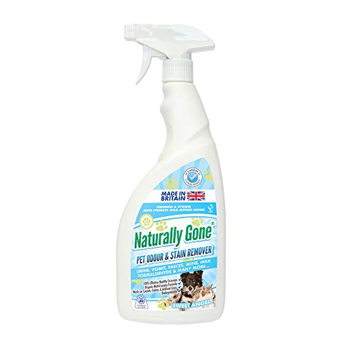 airpure Naturally Gone Pet Odour Eliminator Heat Sealed Cap/Enzyme Cleaner Removes Smells and Stains Works on Urine, Vomit, Faeces and More - Fragrance, Baby Powder, 1 count