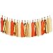 Aonor Tassel Garland, Tissue Paper Tassels Banner for Graduation Party Decorations, Thanksgiving, First Birthday Party Decorations, 20 pcs DIY Kits (Orange+Metallic Gold+Tan+Ivory)