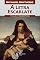 Livro A Letra Escarlate