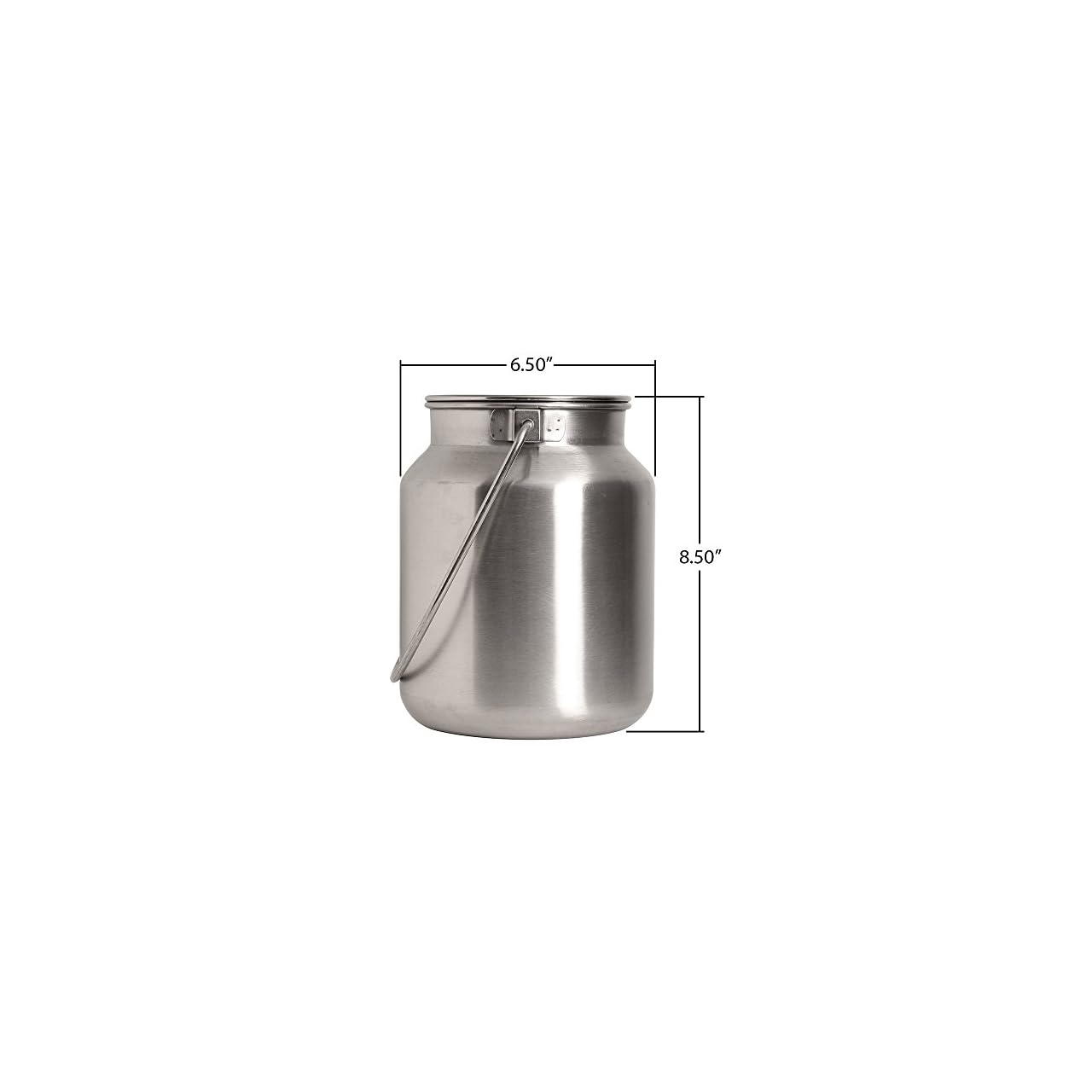 Lindy's Stainless Steel Gallon Jug, Silver Escape Waste