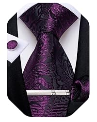 DiBanGu Silk Paisley Ties for Men Woven Necktie and