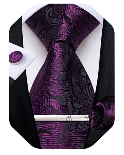 DiBanGu Silk Paisley Ties for Men Woven Necktie and