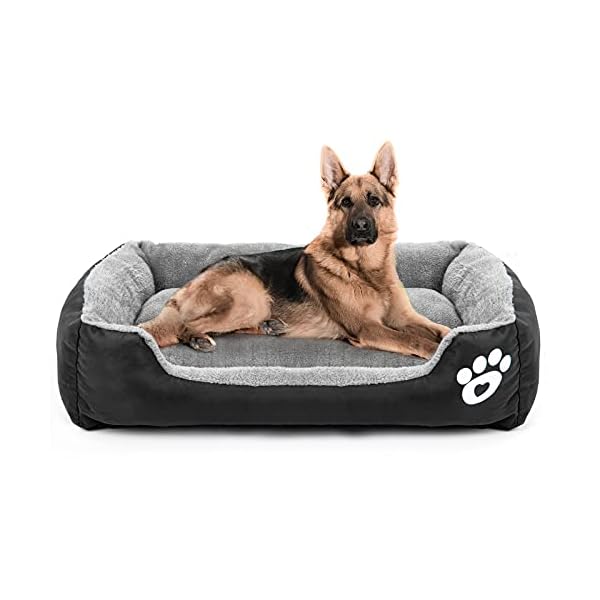 medium dog bed washable