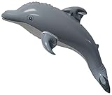 Inflatable Dolphin, 20