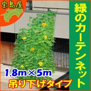 Amazon 緑のカーテン 5m吊り下げワイド 幅1 8mx長さ5m No 1399 02 Diy 工具 ガーデン