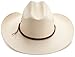 Stetson Men's Cowboy