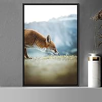 Framed Canvas Wall Art Red Fox Animals Contemporary Expressive Fox Living Room Multicolor Photography - 16x24 inches