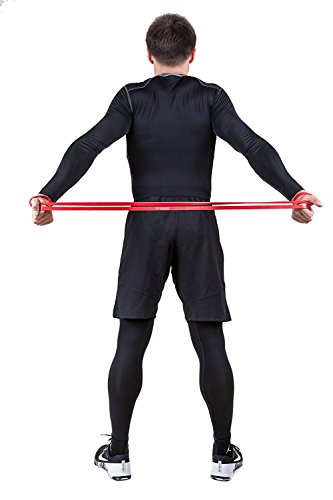 Resistance Band By DS DOG - Workout Band with 10-35 Pounds Resistance - Crossfit Pull Up Bands for Home or Gym - Powerlifting Exercise Bands - Extra Durable Natural Latex - with eGuide - Red